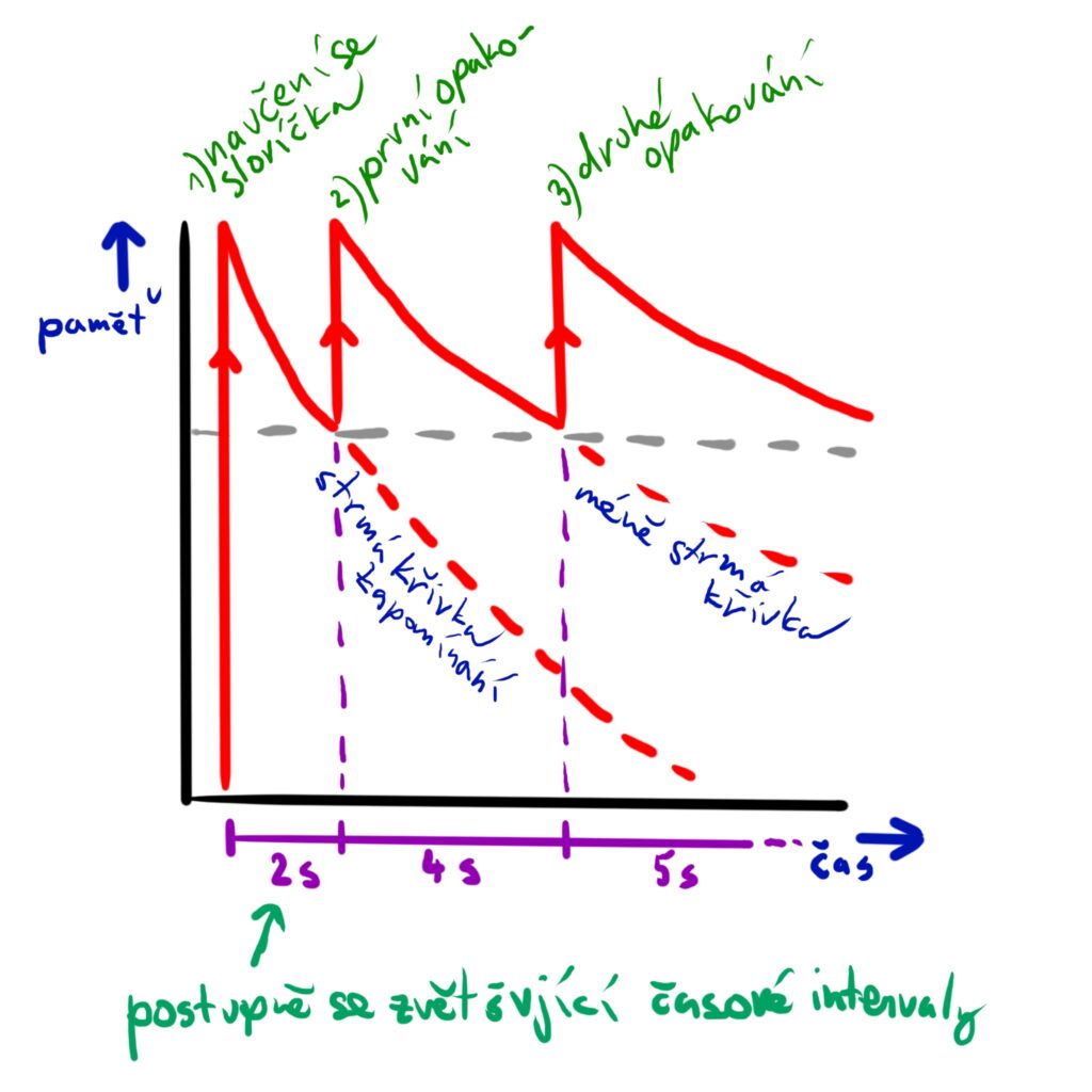 Princip spaced repetition